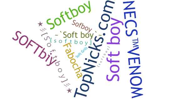 Нікнейми для Softboy